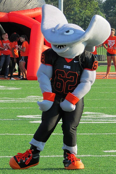 weirdest high school mascot names funny high school mascots