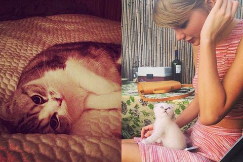 Celebrity Pets With Famous Names