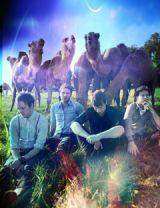 band paper route in front of camels
