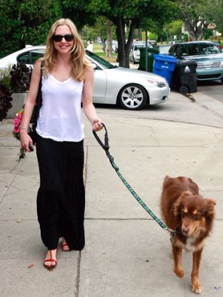 Amanda Seyfried on the streets of la walking her dog