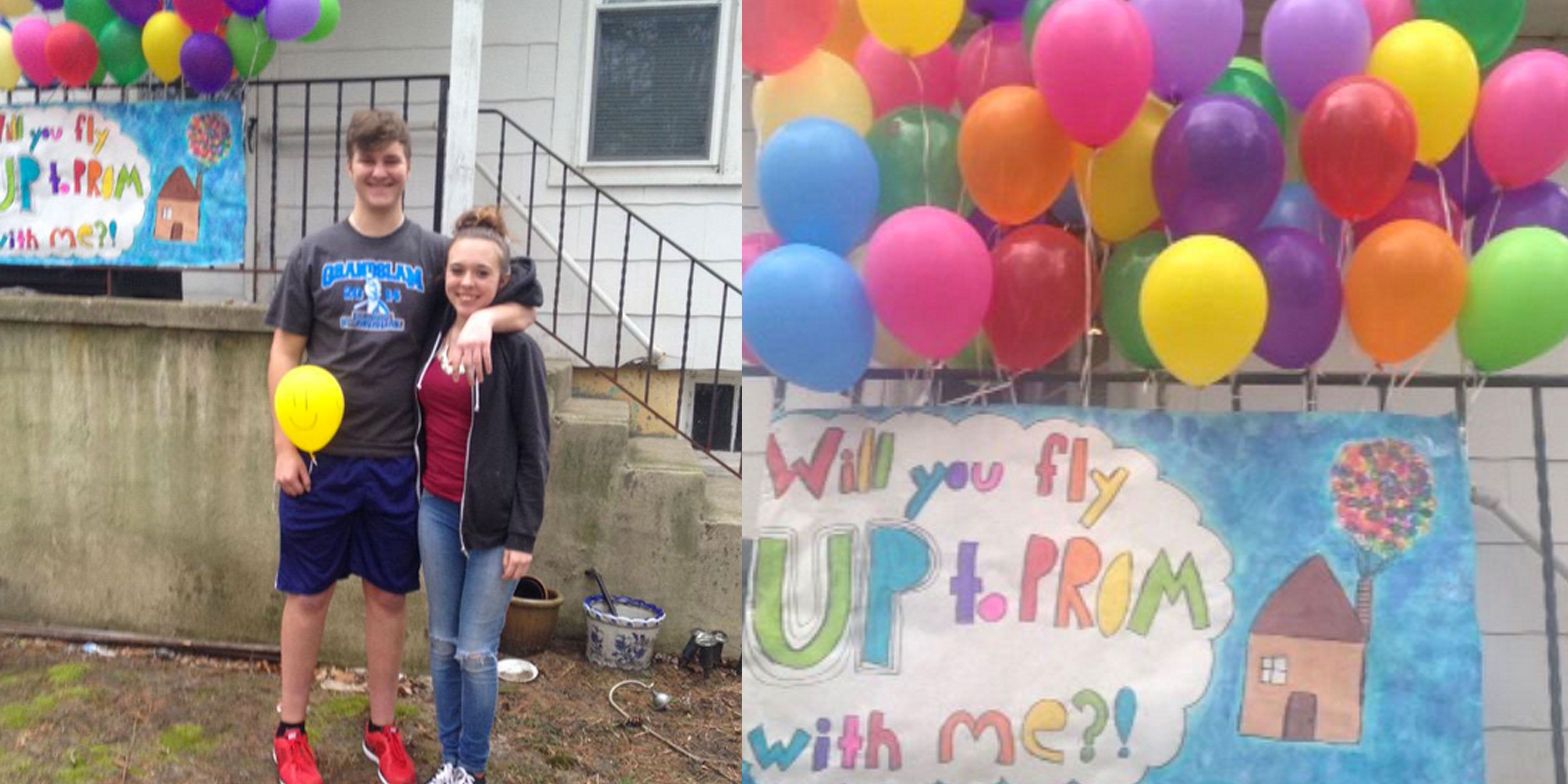 Up Inspired Proposal