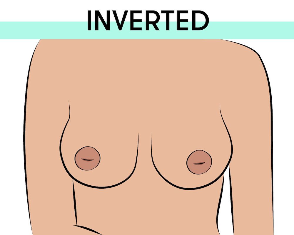 The 8 Nipple Types in the World - Different Areola Sizes and Shapes