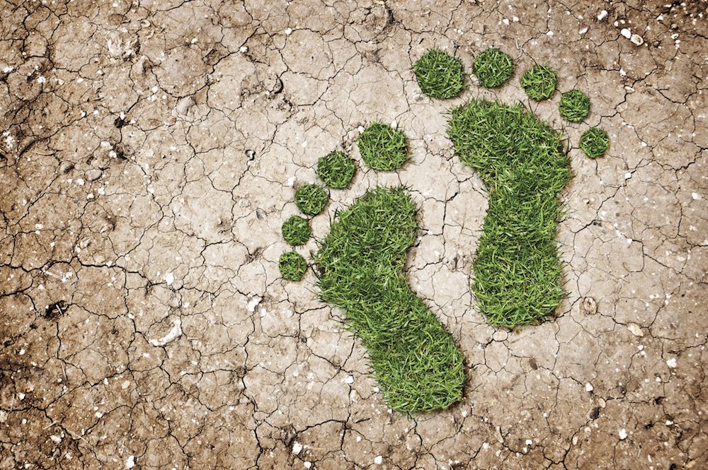 How Big Is Your Carbon Footprint?