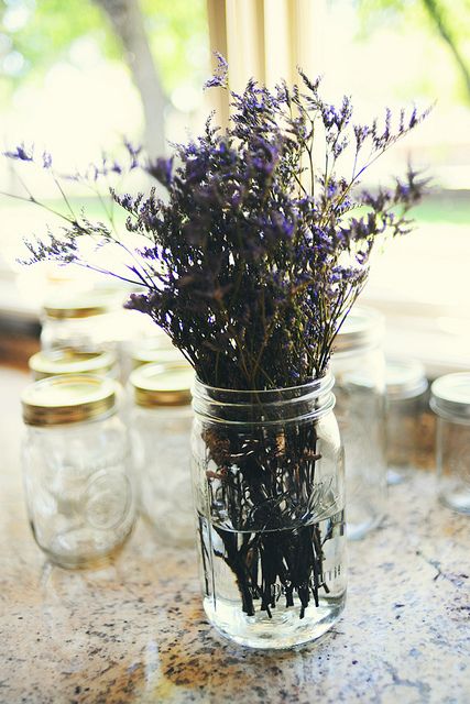 Pioneer Woman Mason Jars with Lids and Straws