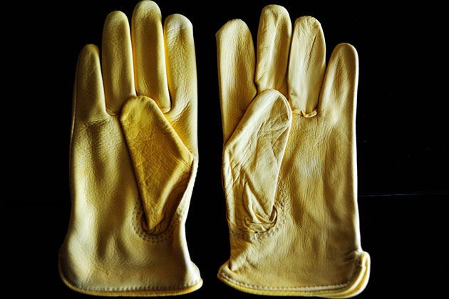 pioneer woman gloves