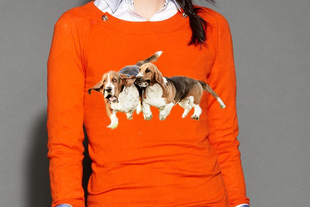 basset hound sweaters