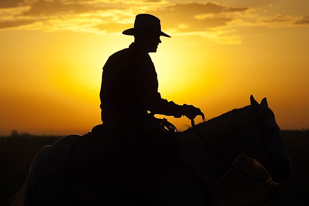 Watch The Pioneer Woman's Husband Ladd Drummond Gather Cattle