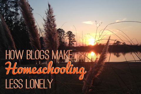 How Blogs Make Homeschooling Less Lonely &#8211; 2