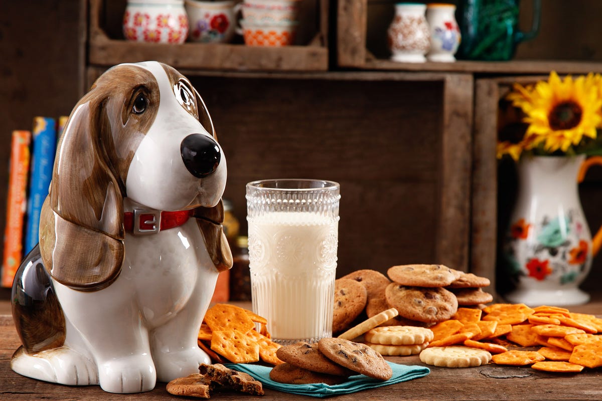 The Pioneer Woman Charlie Cookie Jar 