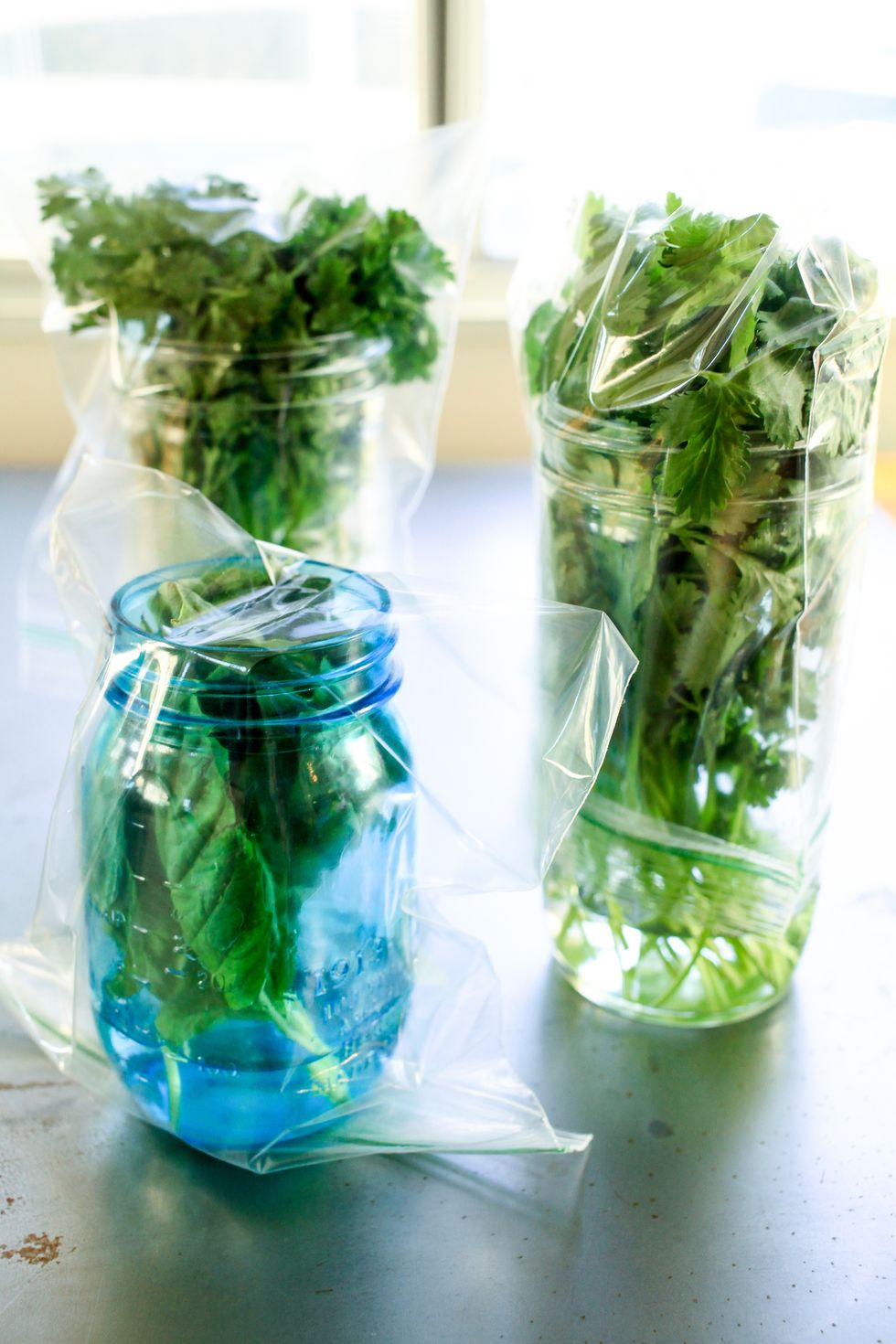 https://hips.hearstapps.com/thepioneerwoman/wp-content/uploads/2015/10/how-to-store-fresh-herbs-02.jpg?resize=980:*