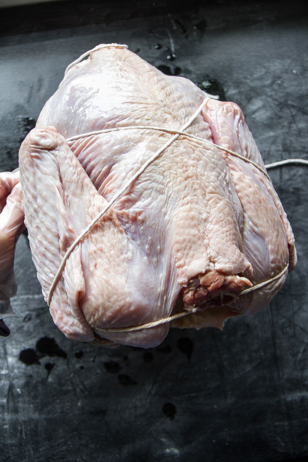 How to Truss and Roast a Turkey