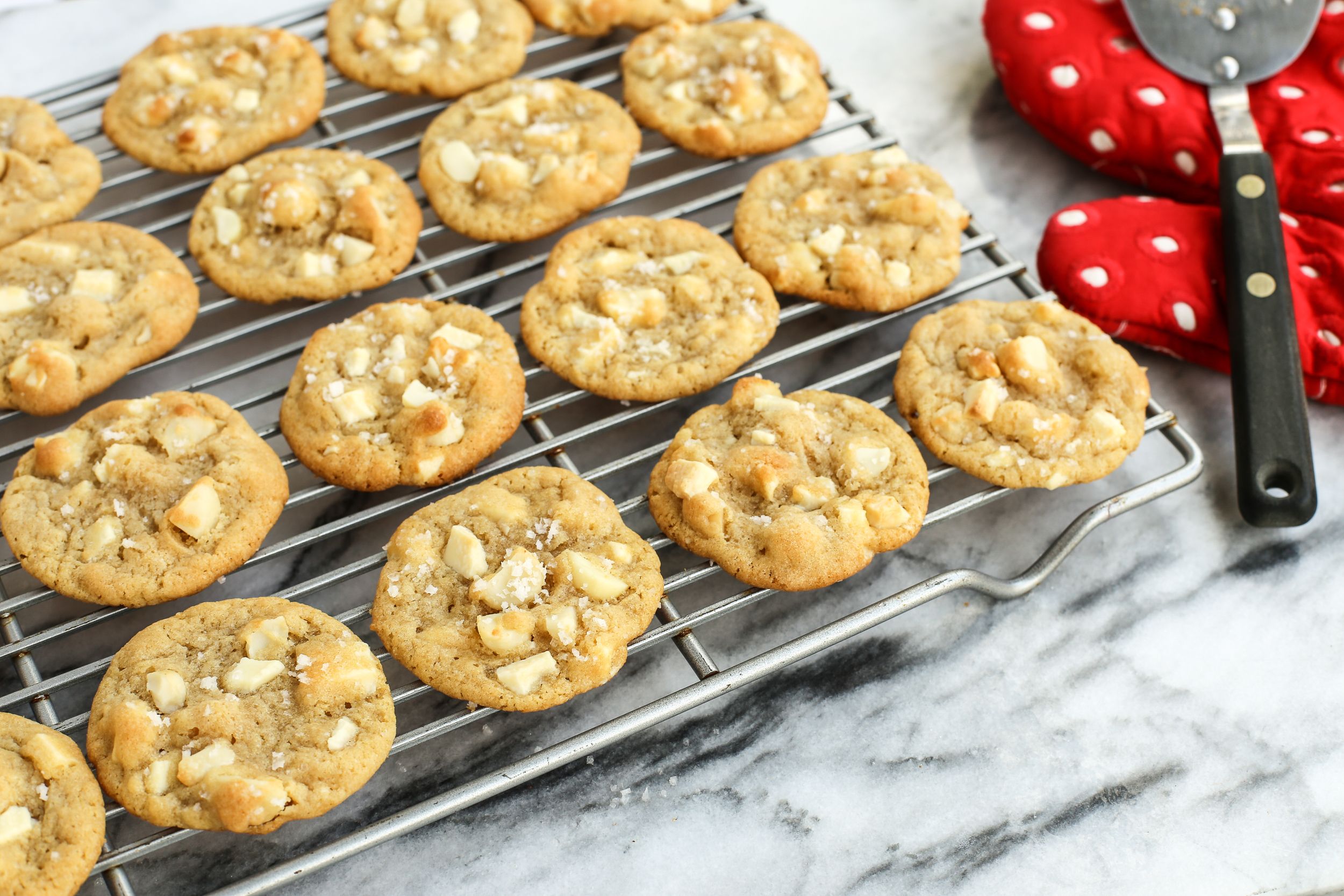 https://hips.hearstapps.com/thepioneerwoman/wp-content/uploads/2015/12/white-chocolate-macadamia-nut-cookies-with-sea-salt-02.jpg