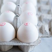 Pasteurized Eggs 101