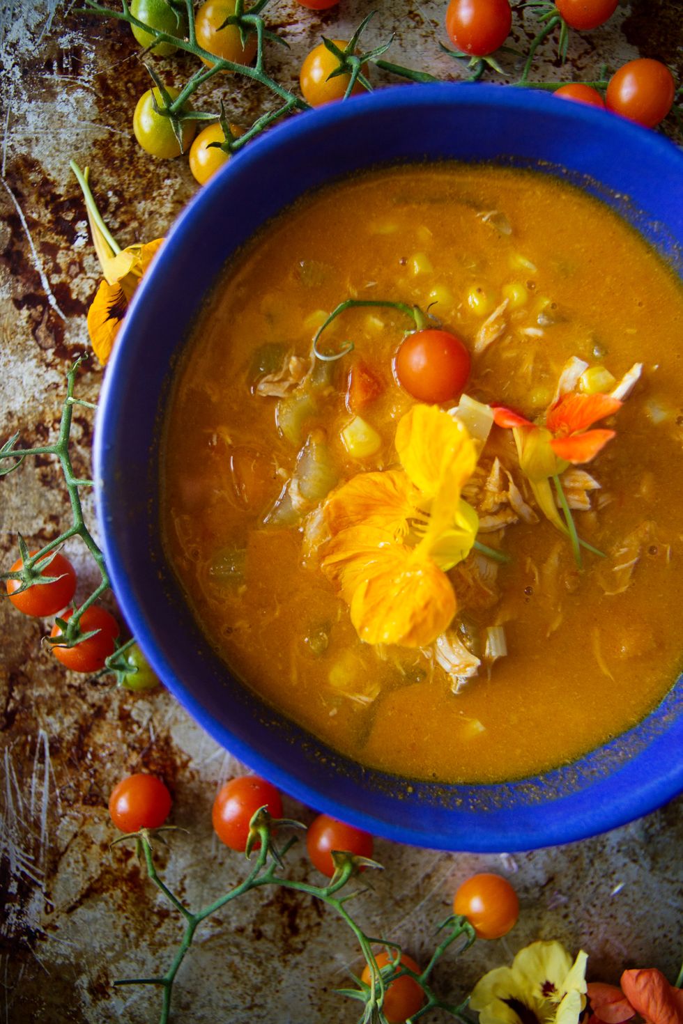 Tomato Chicken Vegetable Soup