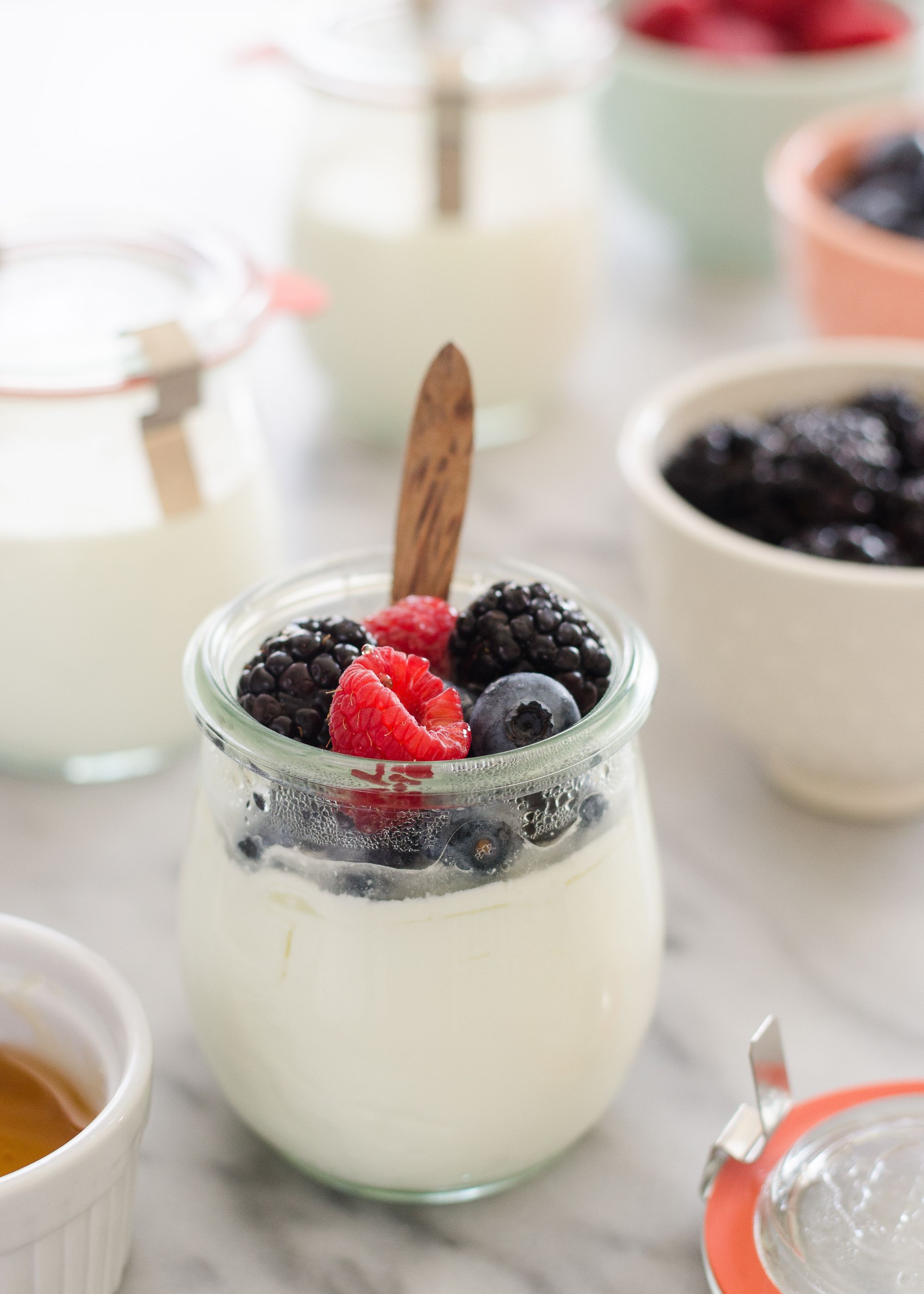 https://hips.hearstapps.com/thepioneerwoman/wp-content/uploads/2017/04/how-to-make-yogurt-and-greek-yogurt-24.jpg