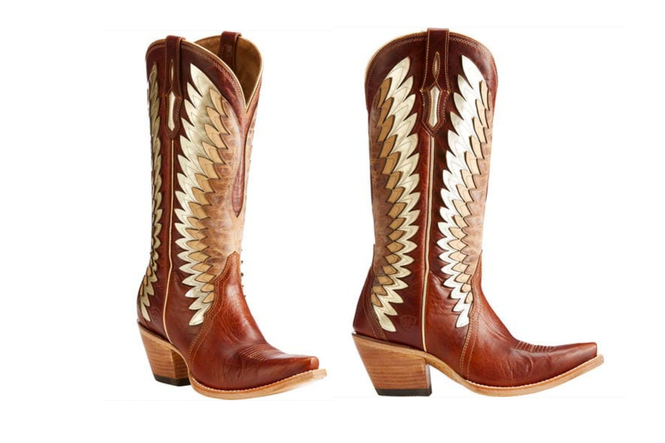 Ariat goldcrest 2025