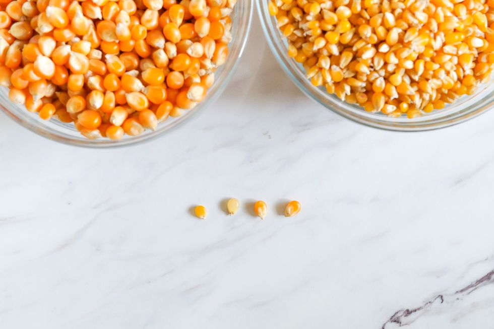 Types of Popcorn 4 kernels