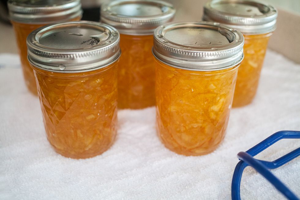 How to Make Marmalade (canning) 06