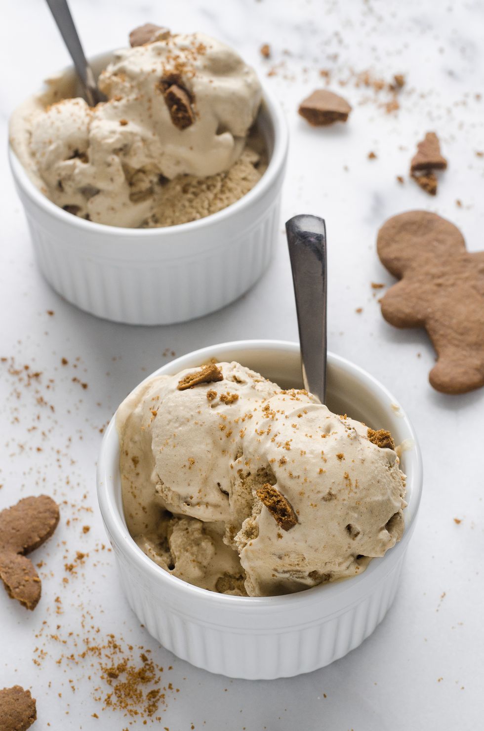 Gingerbread Cookie Ice Cream 09