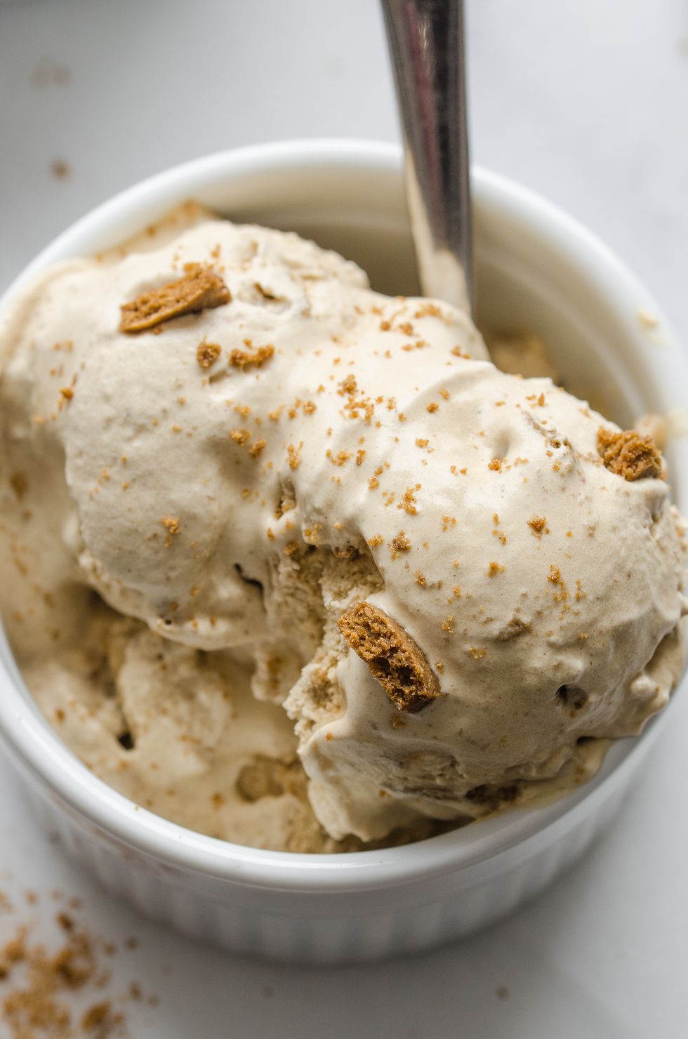 Gingerbread Cookie Ice Cream 10