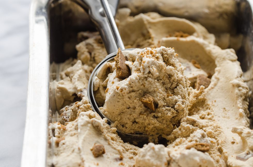 Gingerbread Cookie Ice Cream 11