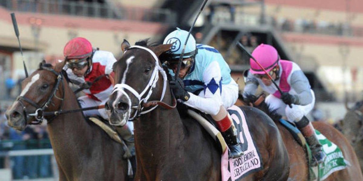Mudders Day The Railbird Looks At The Kentucky Derby Favorites For A