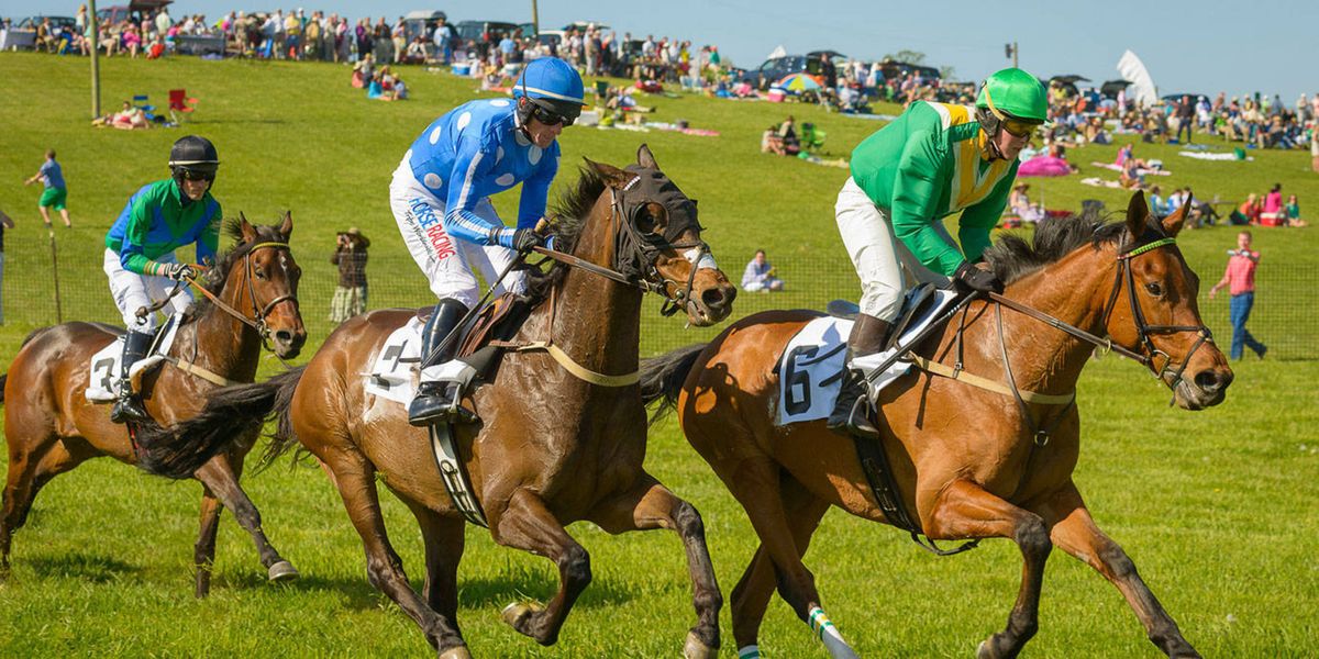 Winterthur PointtoPoint Photos from the 35th Annual PointtoPoint