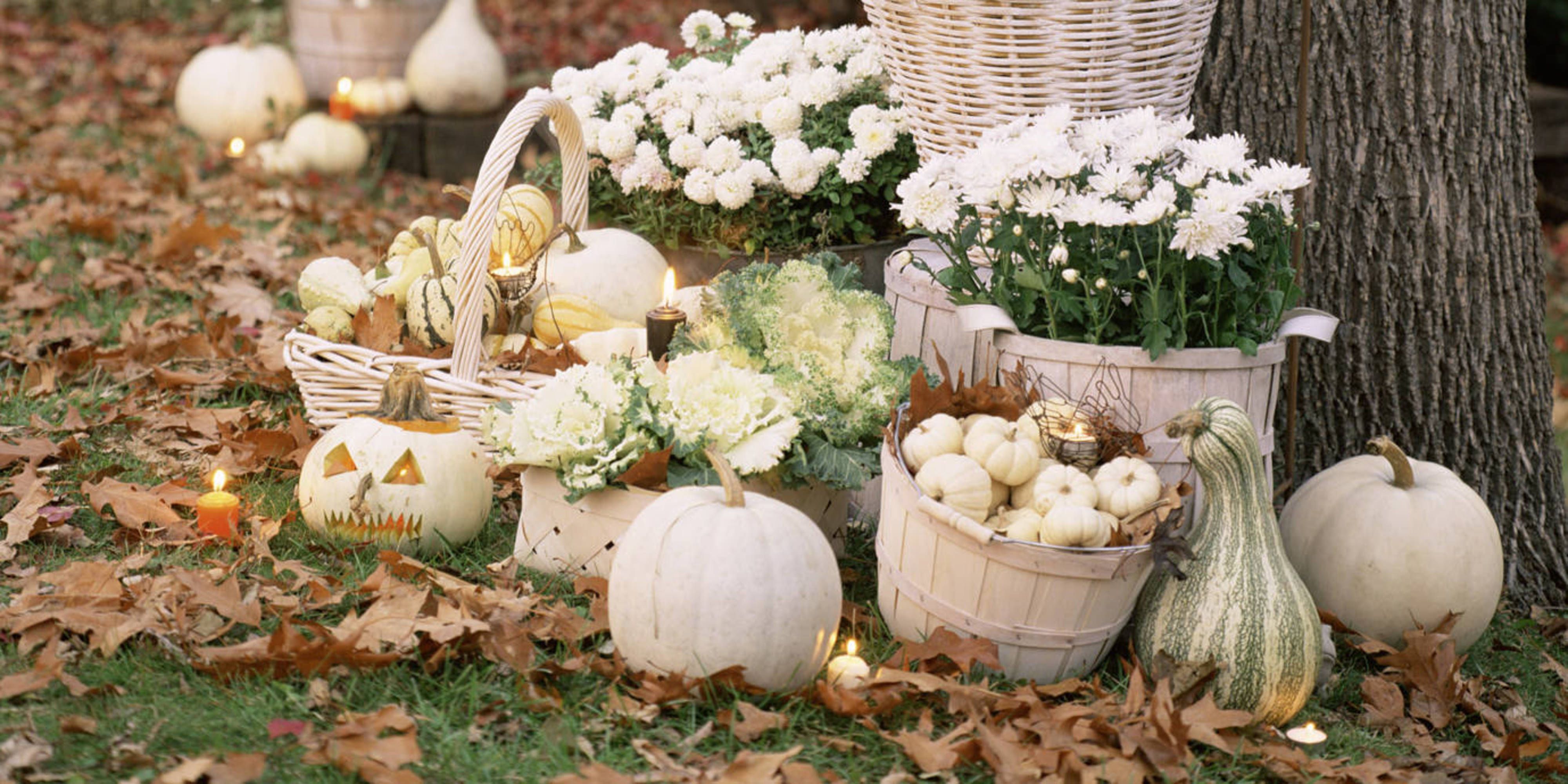 Pumpkin Décor Ideas for Fall | Balsam Hill