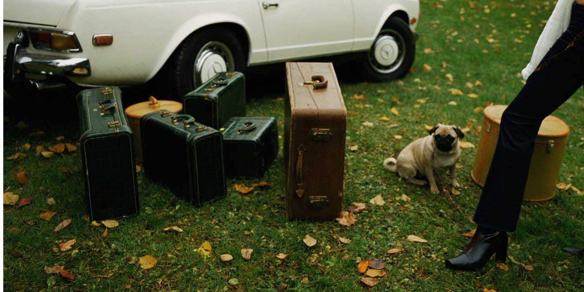 Best Pet Friendly Hotels In New York City Hotels That