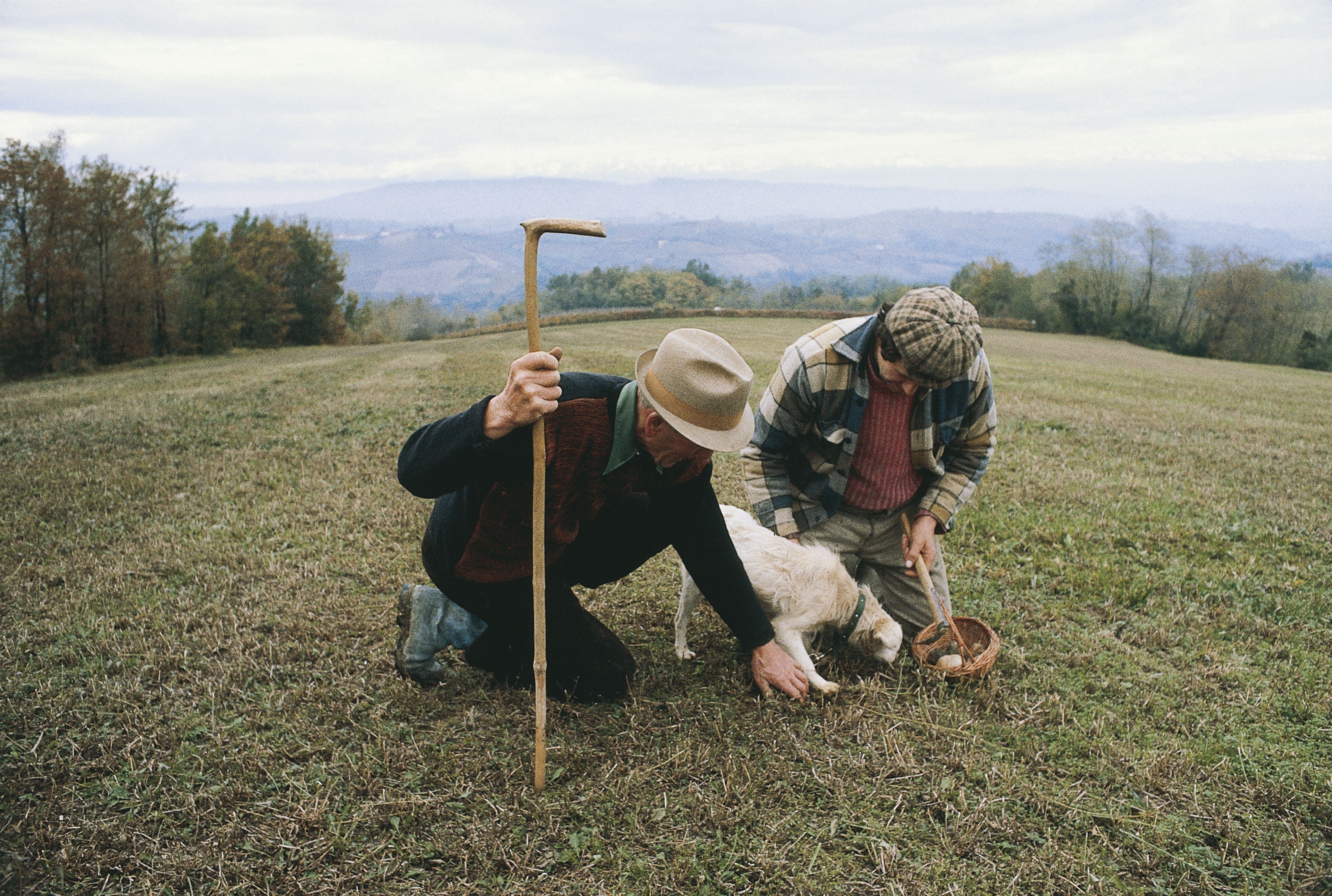 town country magazine