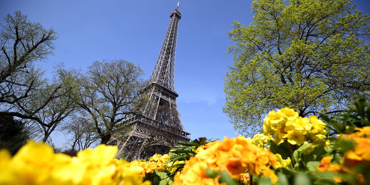 Paris - Springtime Beauty