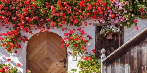 beautiful floral landscapes - the most gorgeous floral entryways beautiful floral landscapes - the most gorgeous floral entryways