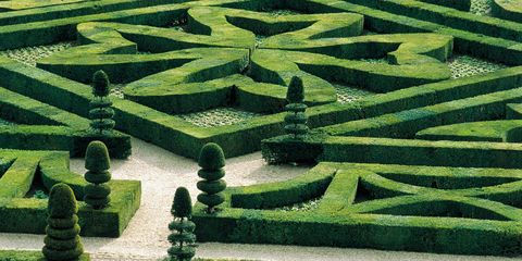 Green, Shrub, Maze, Art, Garden, Hedge, Groundcover, Plantation, Labyrinth, Environmental art, 