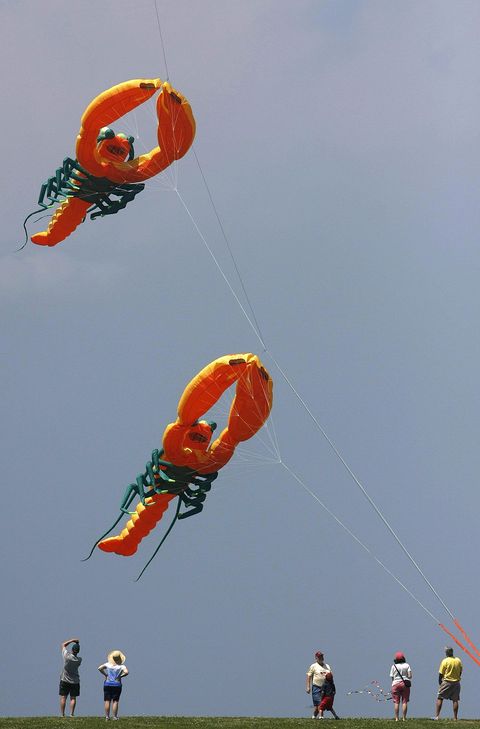 Jill Brady/Staff Photographer: Visitors at Bug Light Park in South Portland enjoy giant lobster kites Monday, July 4, 2011.