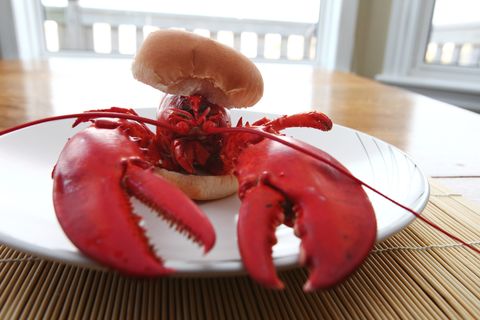 CHARLOTTETOWN, PE - APRIL 19:  A prepared and  cooked lobster burger in Charlottetown, APRIL 19, 2009. In the lobster season in may and june the lobster is very cheap and there exists a speciality in fast food restaurants: the lobster burger.  (Photo by EyesWideOpen/Getty Images)