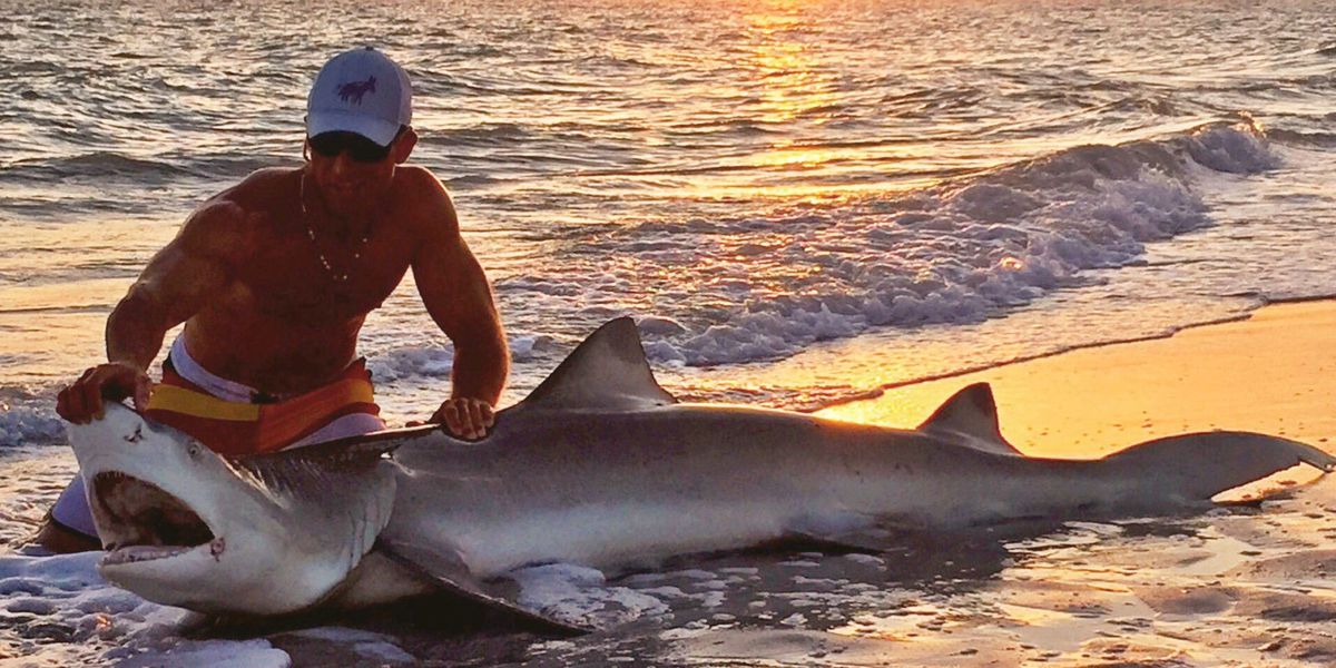 Elliott Sudal Elliott Sudal Nantucket Shark Wrangler