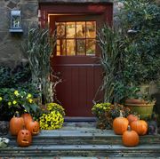 Pumpkin, Orange, Home, Yellow, Plant, Porch, Fruit, House, Winter squash, Door, 