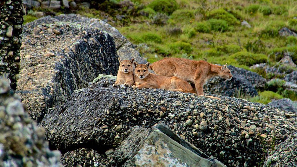 Quasar Expeditions Patagonia Explora Patagonia 4196