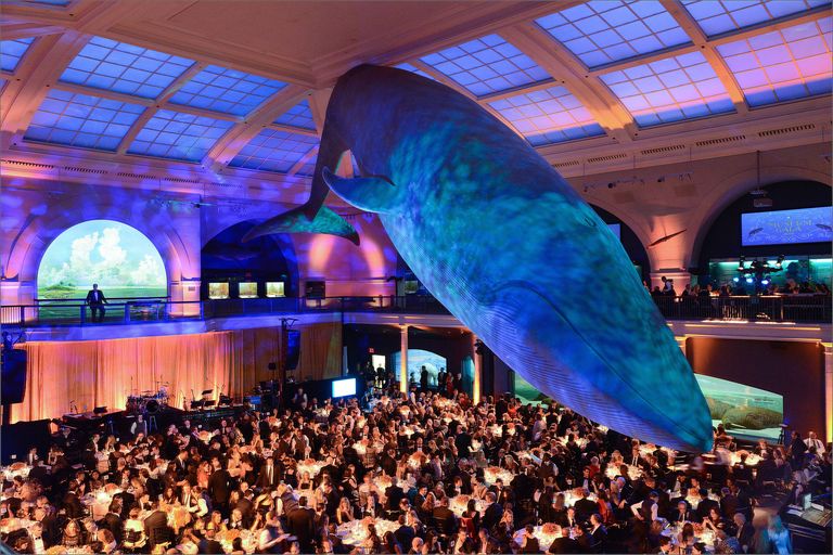 American Museum of Natural History Annual Gala Photos From The