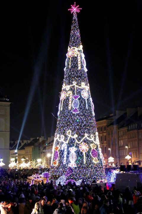 Crowd, Lighting, Event, Night, Electricity, Pink, Public space, Christmas decoration, Landmark, Christmas tree, 