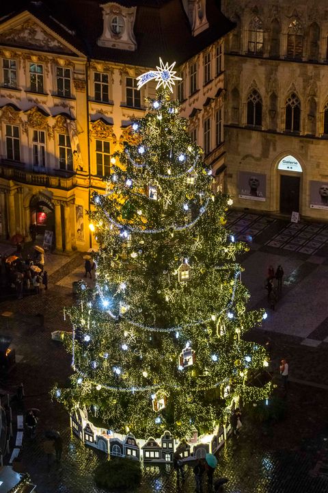 Lighting, Event, Christmas decoration, Christmas tree, Christmas ornament, Holiday, Winter, Woody plant, Christmas eve, Christmas, 