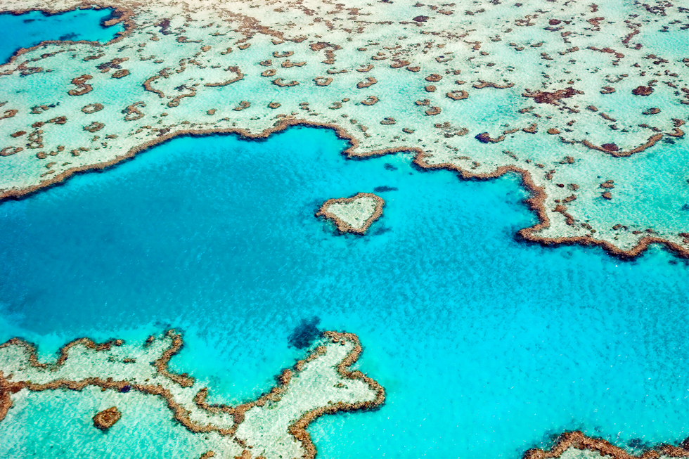 Mother Nature Created This Naturally Heart-Shaped Coral Reef