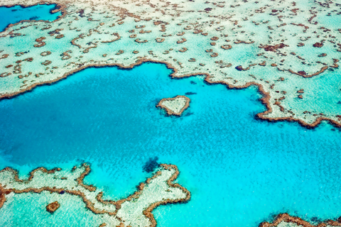 Mother Nature Created This Naturally Heart-Shaped Coral Reef