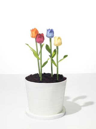 Petal, Flower, Flowering plant, Botany, Flowerpot, Artifact, Cut flowers, Still life photography, Plant stem, Vase, 