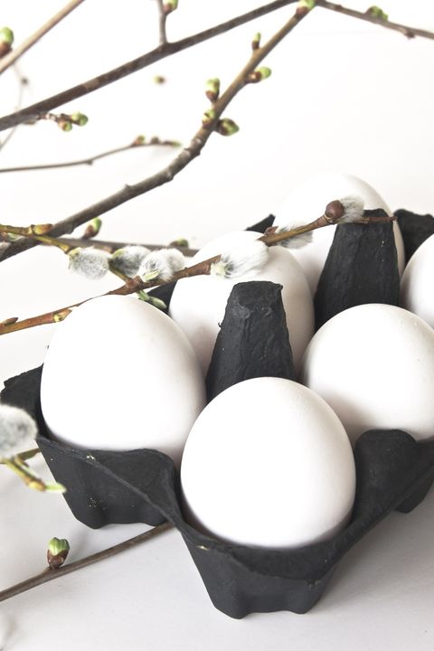 Branch, Twig, Ingredient, Egg, Egg, Still life photography, Natural material, Collection, Fruit tree, Oval, 