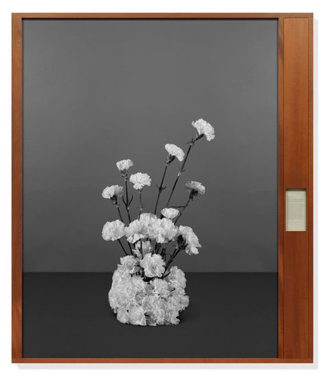 Flower, Art, Botany, Still life photography, Cut flowers, Bouquet, Artwork, Interior design, Vase, Flower Arranging, 