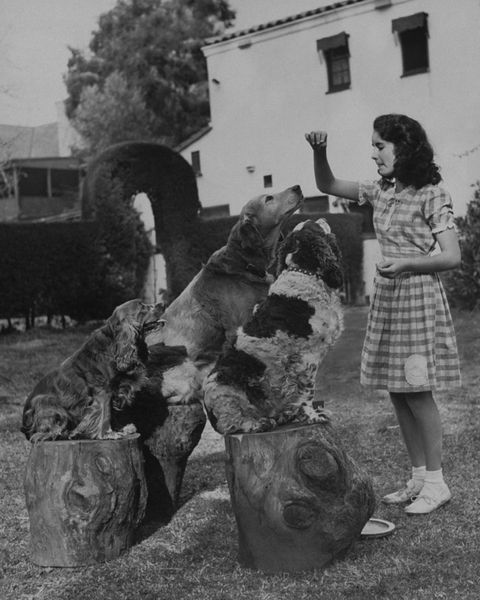 <p>Playing with her dogs, Twinkle, Monty and Spot, in 1945. </p>