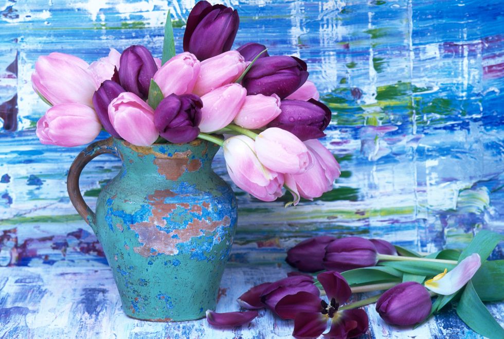 Blue, Petal, Flower, Serveware, Purple, Lavender, Glass, Flowering plant, Violet, Still life photography, 