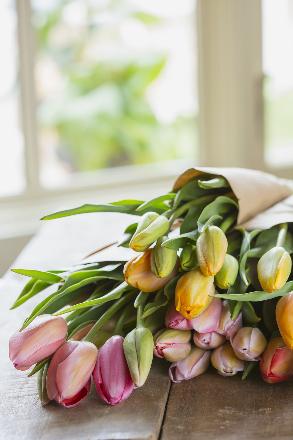 Leaf, Petal, Peach, Still life photography, Bud, Natural material, Flower Arranging, Floral design, 