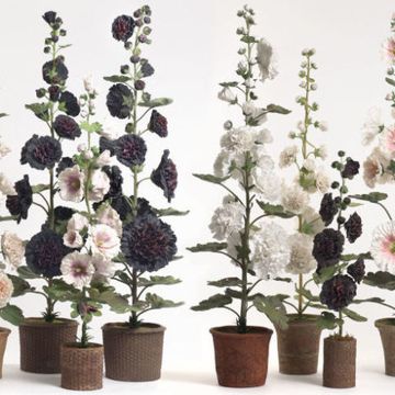 Flowerpot, Plant, Flower, Purple, Botany, Petal, Flowering plant, Interior design, Houseplant, Violet, 